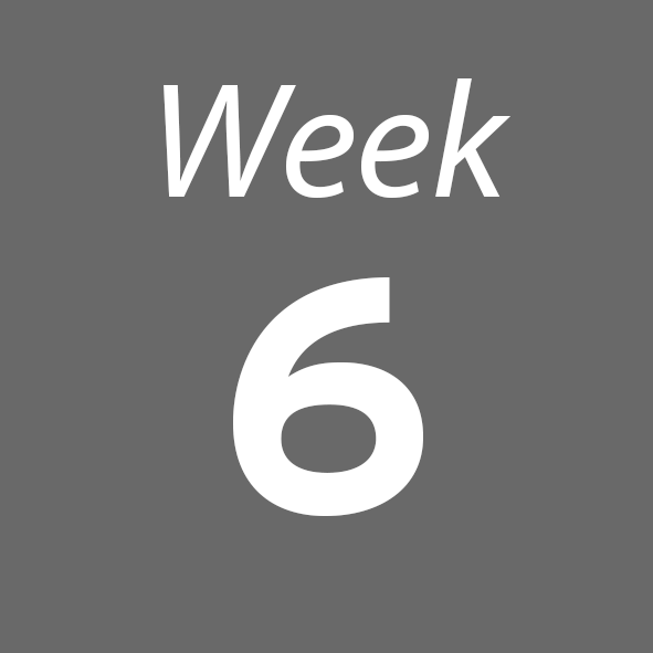 Week 6
