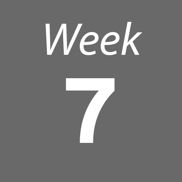 Week 6